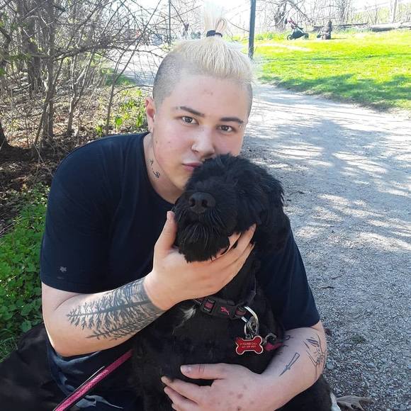 Meet your Posher, Dexter - Picture 1 of 1